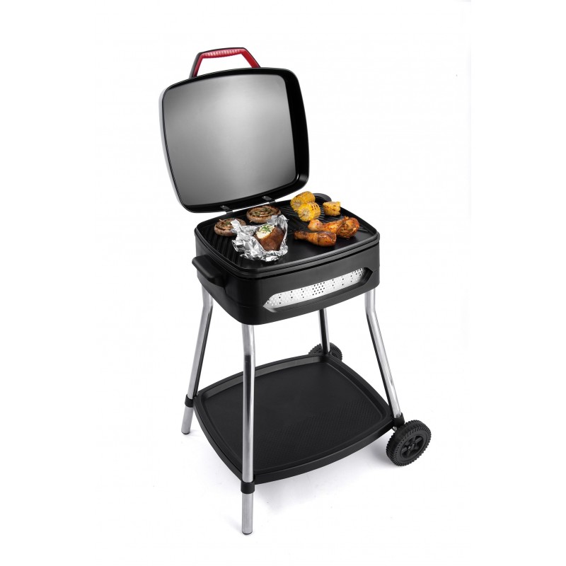 FRITEL FT142195 barbecue FRITEL FT142195 barbecue