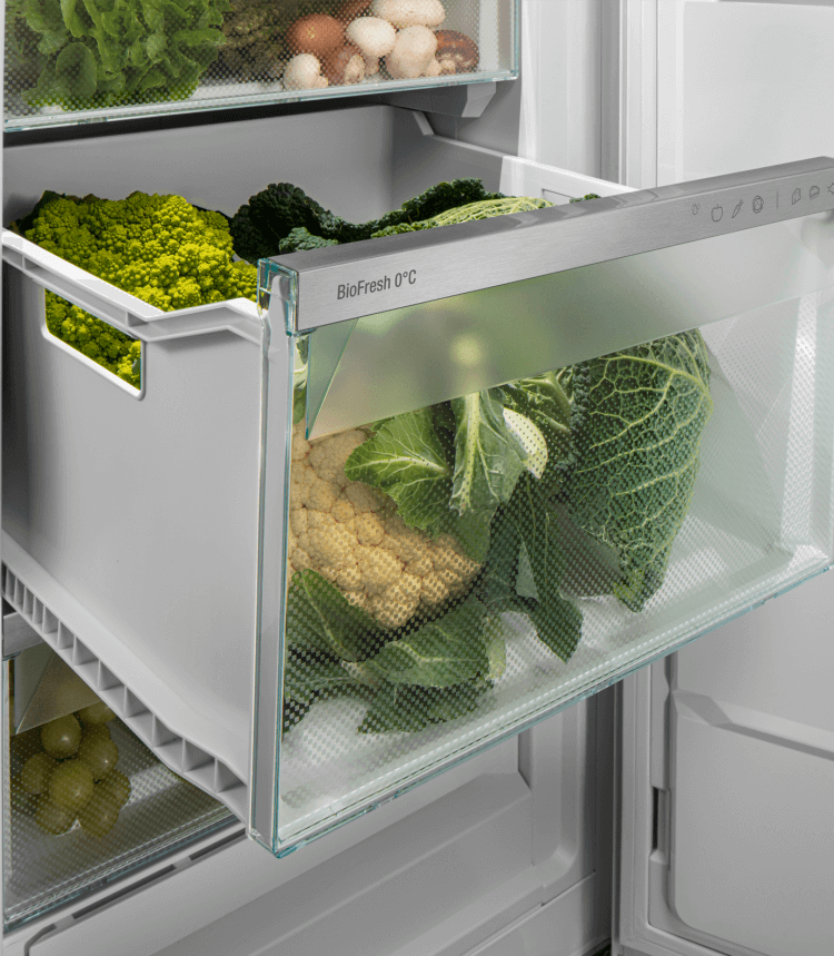 LIEBHERR RBA30425I22 vrijstaande koelkast zonder vriesvak - 125cm