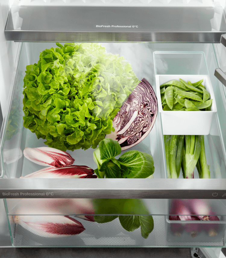 LIEBHERR RBBSC528I22 vrijstaande koelkast zonder vriesvak - 185cm