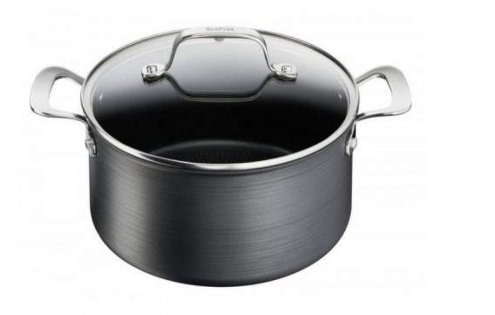 TEFAL TEG2564602 kookpot met deksel TEFAL TEG2564602 kookpot met deksel