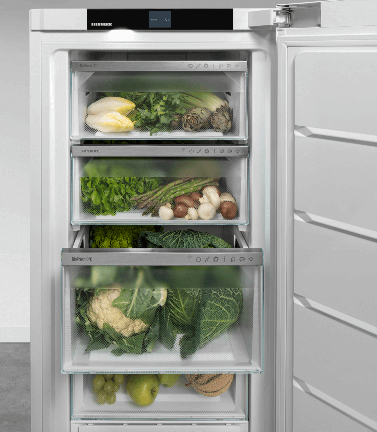 LIEBHERR RBA30425I22 vrijstaande koelkast zonder vriesvak - 125cm