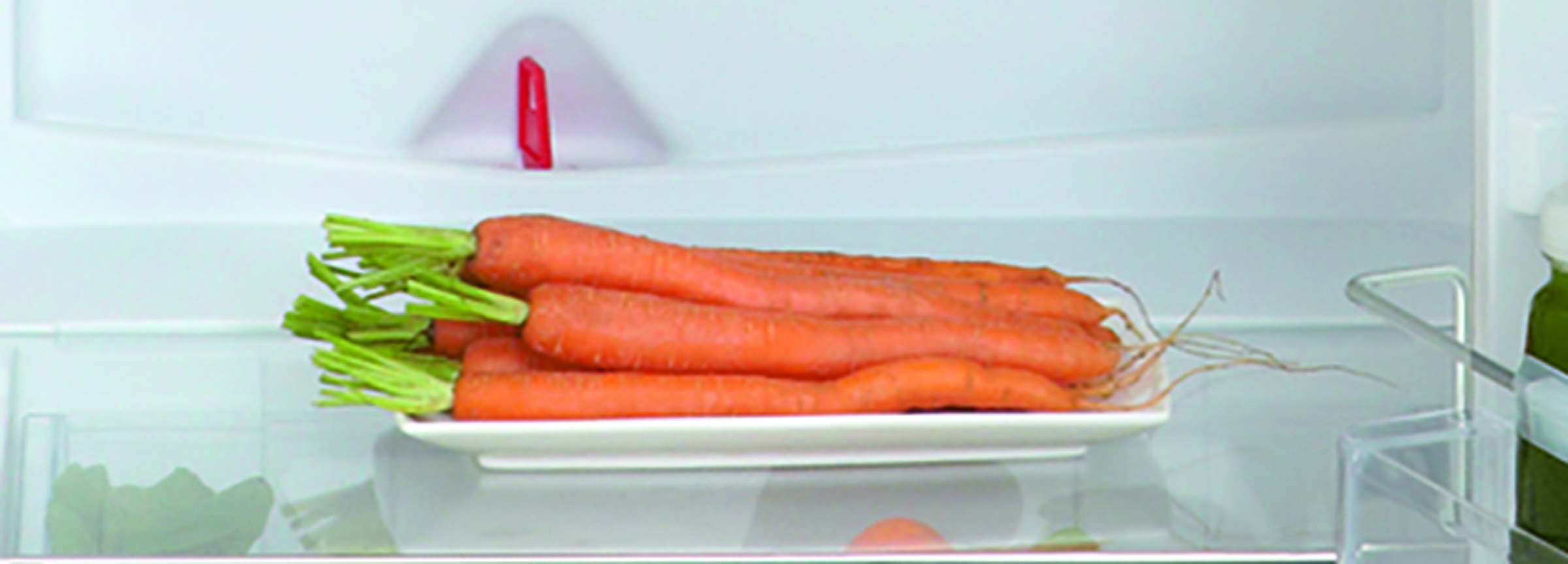 ATAG KS37122A koelkast zonder vriesvak  - 102cm