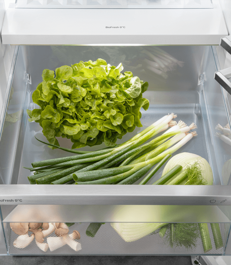 LIEBHERR RBSDC525I22 vrijstaande koelkast zonder vriesvak - 185cm