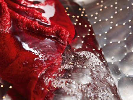 MIELE WTD160WCS STANDARD CHROME EDITION was- droogcombinatie