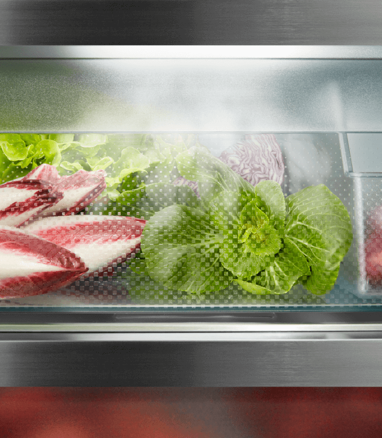 LIEBHERR XRFBS529522 side-by-side